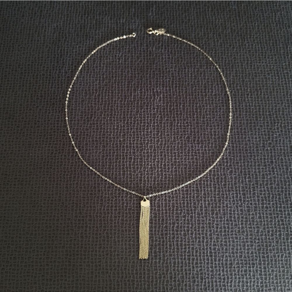 Silver🤍 Wren🪶 Dainty Gold💛 Tassel Necklace